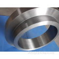 Stainless Steel Ring Forging (DH003)